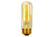 T45 vintage edison bulb