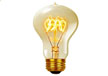 A19 Edison bulb